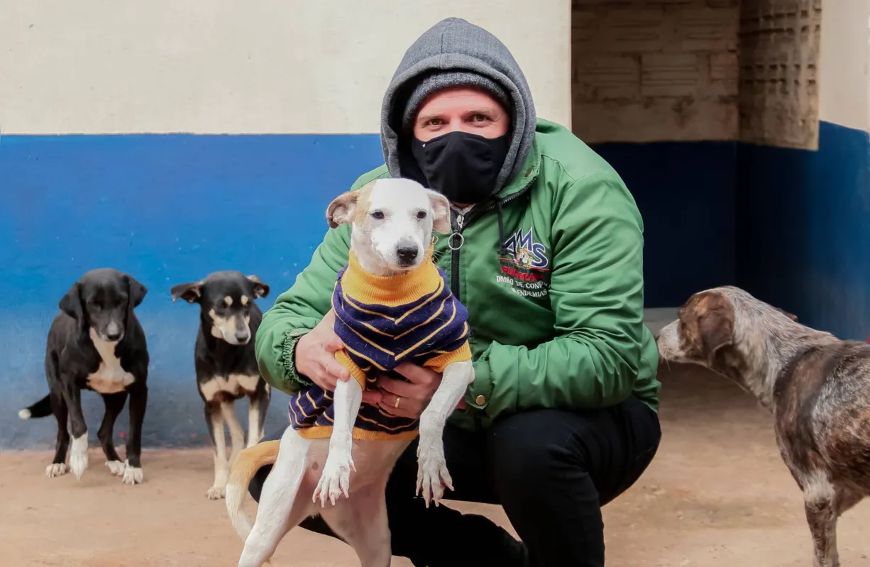 Imagem ilustrativa da imagem Pets recebem agasalhos e cobertores em Apucarana