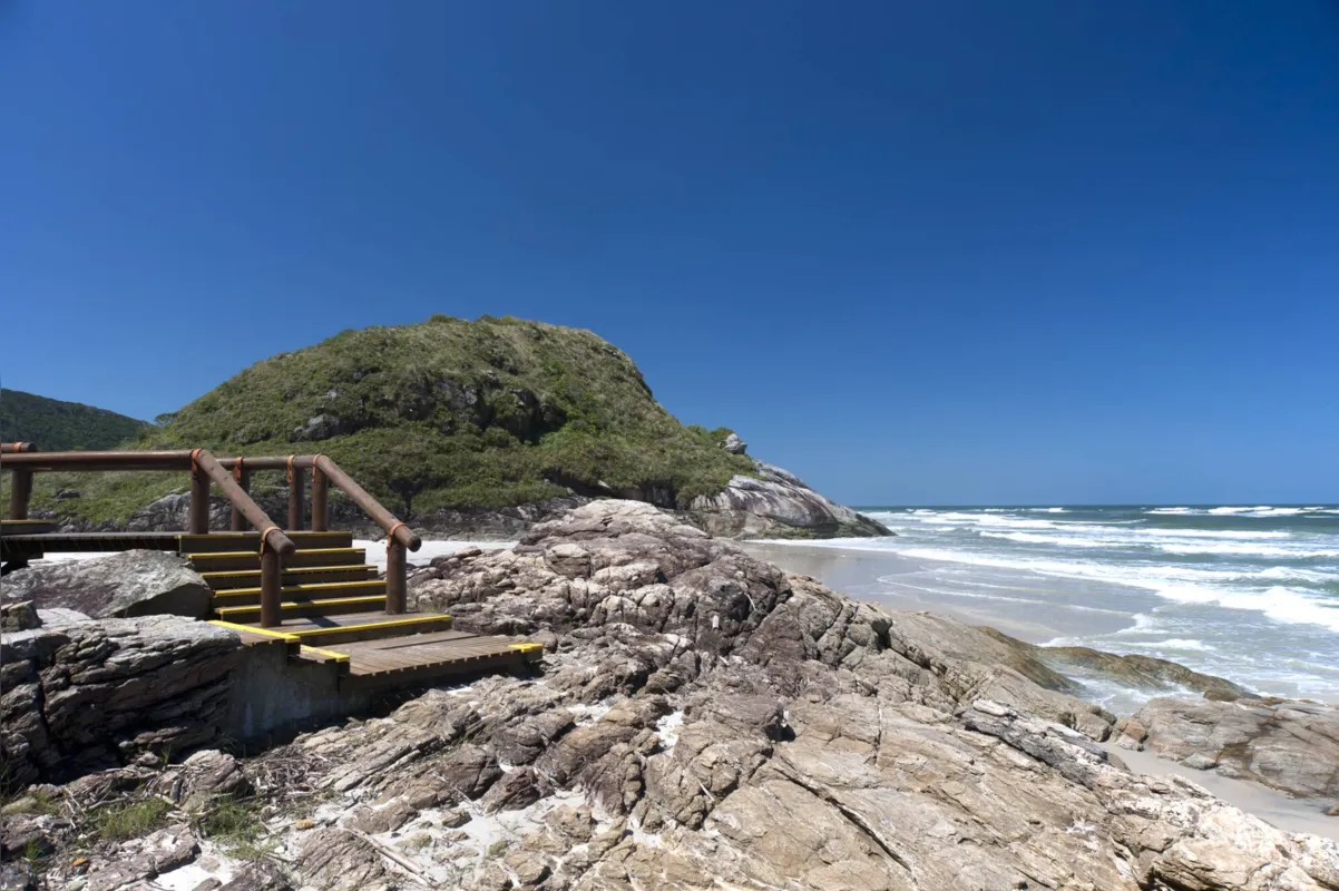 Cerca de 1309 ribeirinhos foram vacinados em Paranaguá até o momento, sendo boa parte na Ilha do Mel - cerca de 800, de acordo com a associação local. 