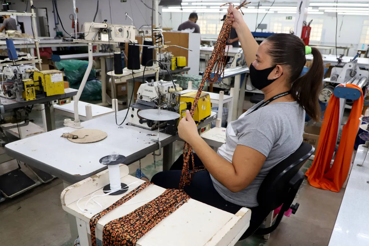 Imagem ilustrativa da imagem Saldo de novas empresas cresce 21,65% nos primeiros sete meses no Paraná