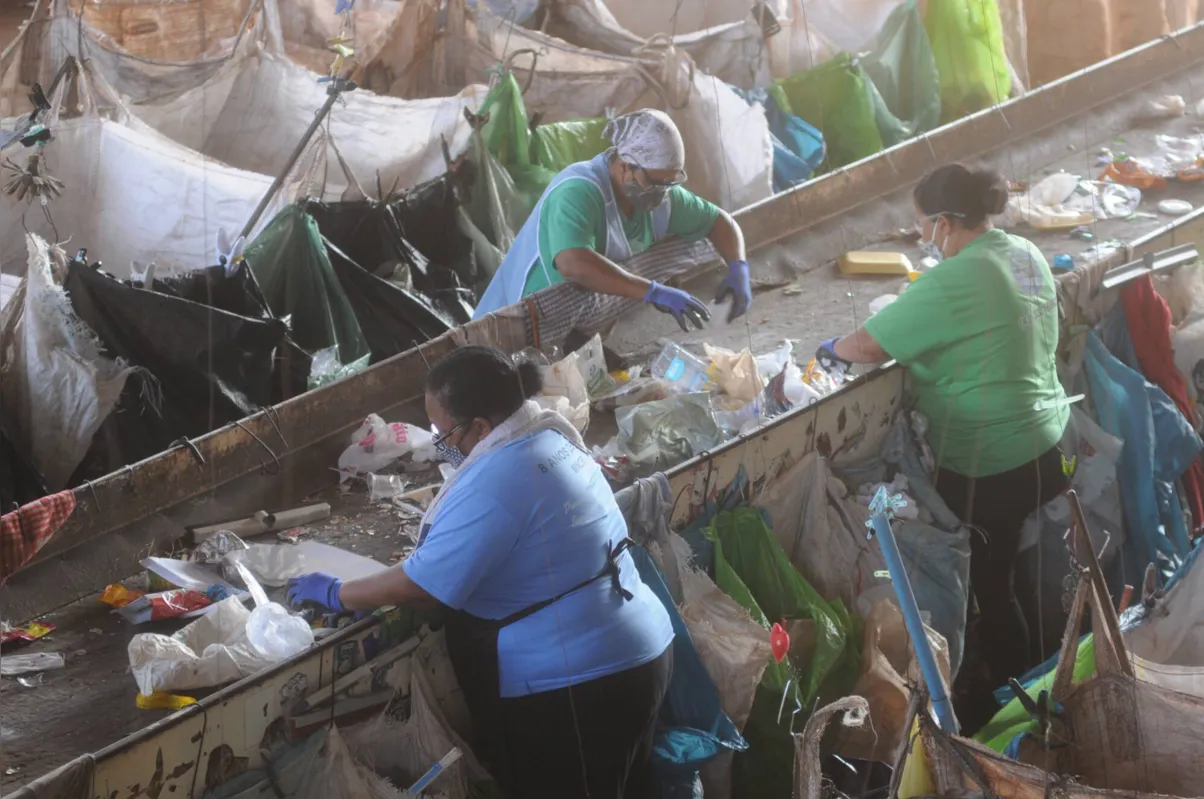 As cooperativas são responsáveis pela coleta e seleção de recicláveis de 230 mil domicílios