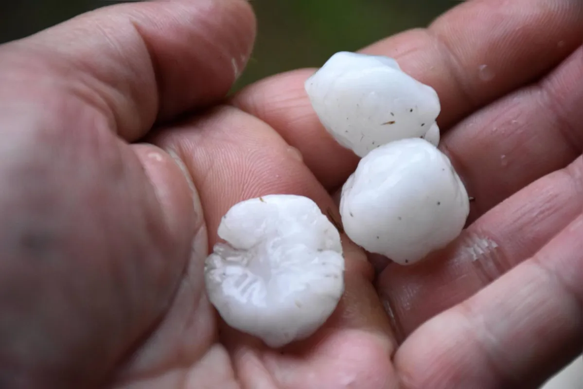 Imagem ilustrativa da imagem Tempestade com granizo deixa ruas cobertas de gelo em Curitiba
