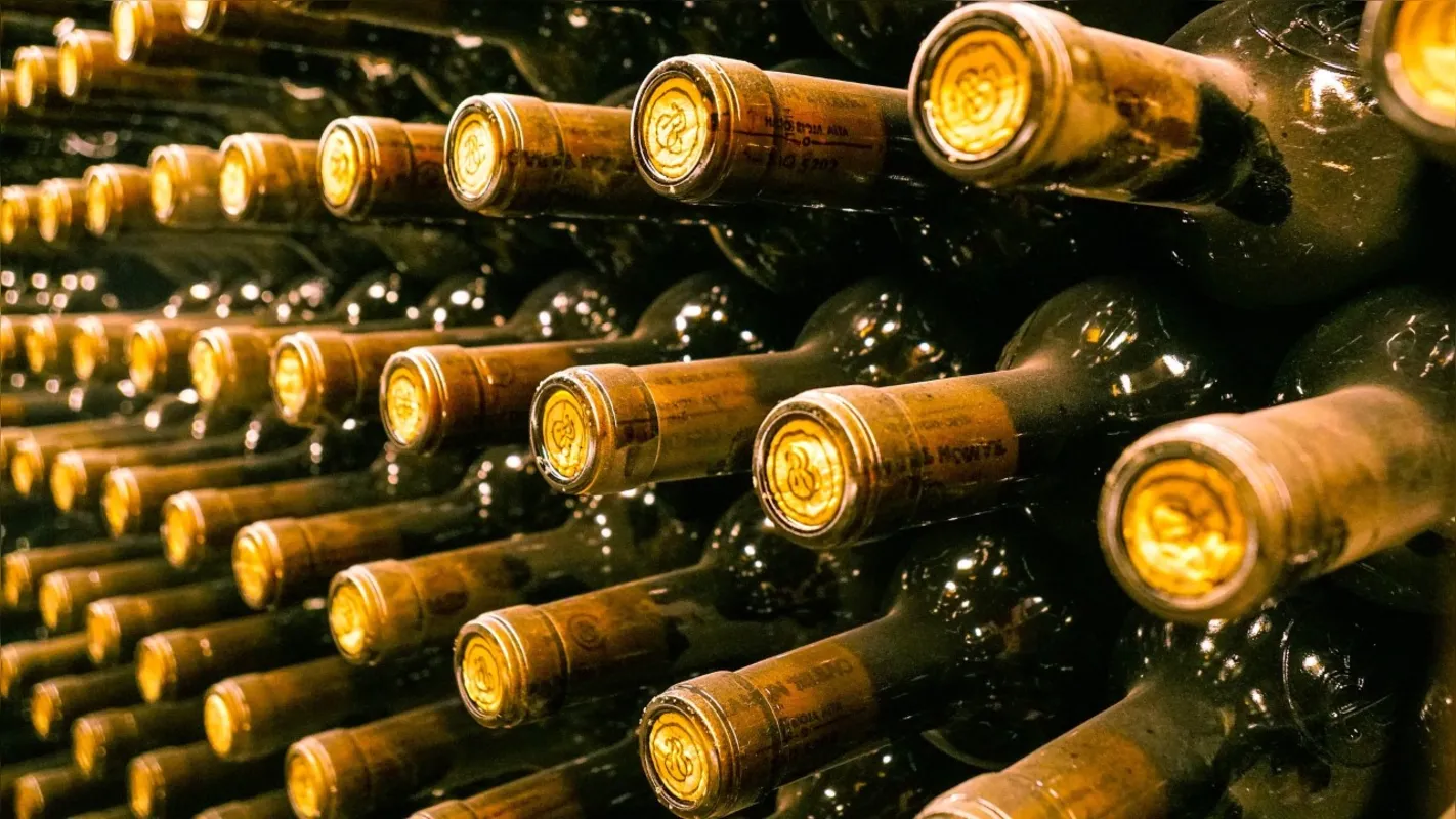 Nas adegas, estão os vinhos que podem ser um dos melhores presentes no Dia dos Pais