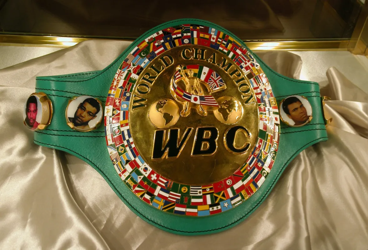 Imagem ilustrativa da imagem Tyson Fury e Deontay Wilder vão acertar as contas