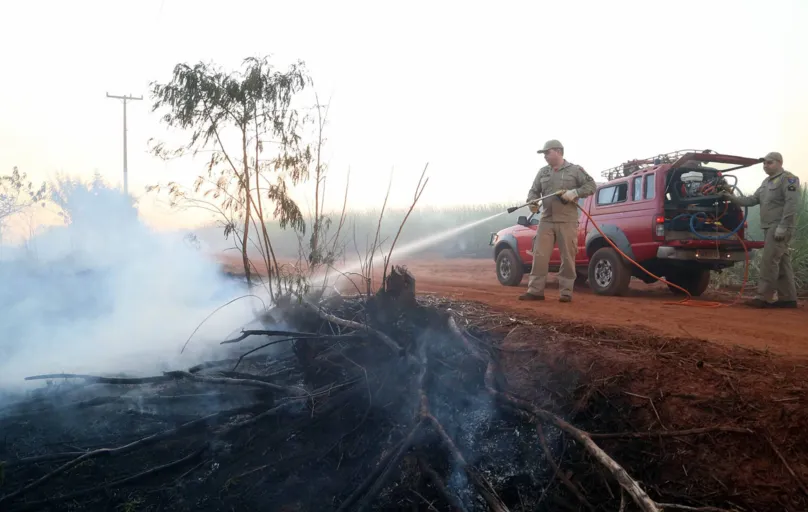 Nos  primeiros quatro meses de 2021, o Corpo de Bombeiros do Paraná registrou 2.760 casos de incêndios em vegetação nativa ou plantação.
