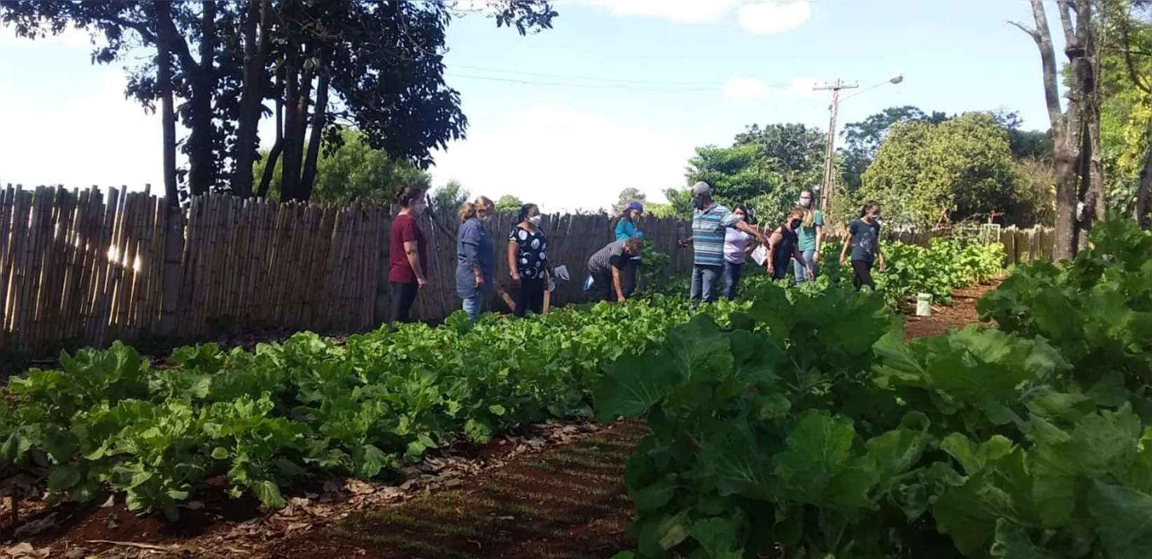 Imagem ilustrativa da imagem Apucarana implantará programa de troca de hortifrutis por recicláveis