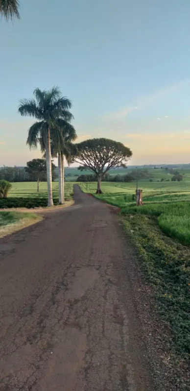 Imagem ilustrativa da imagem CIDADE FALA - Estrada São Rafael