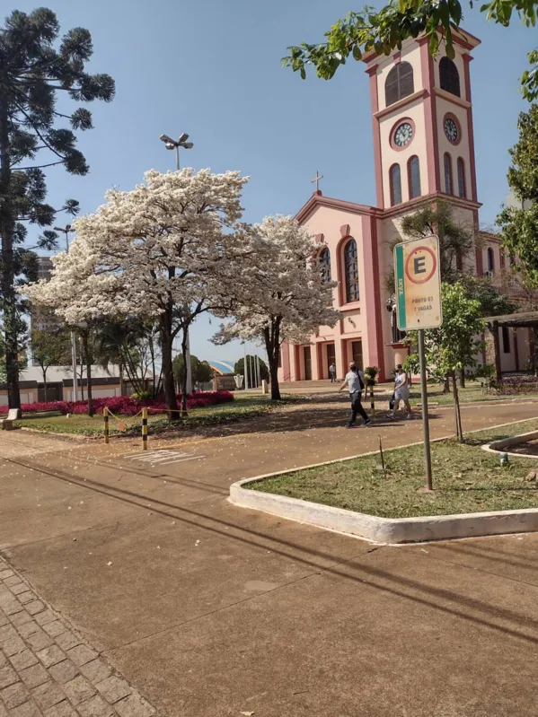 Imagem ilustrativa da imagem CIDADE FALA - Igreja Matriz de Cambé