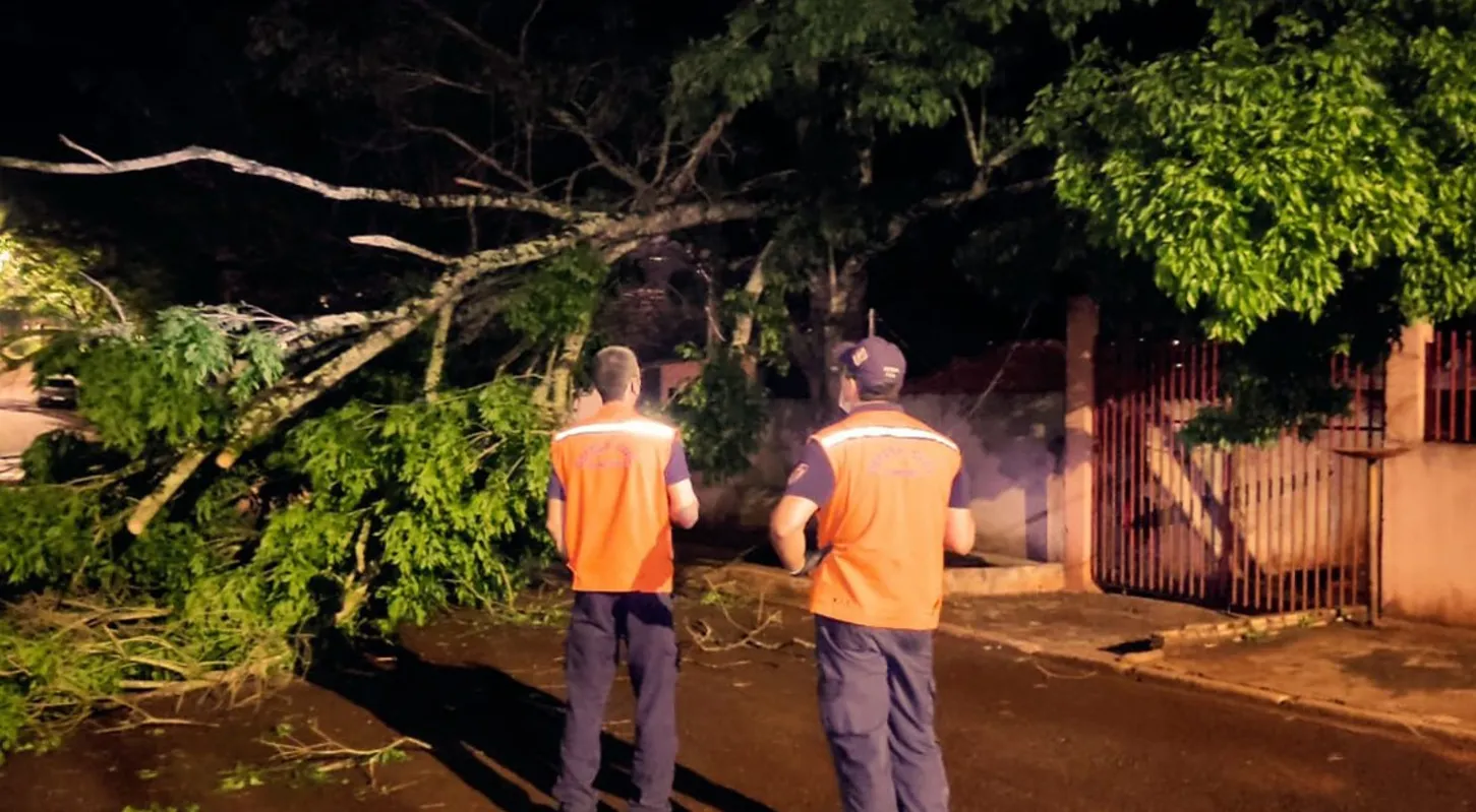 Imagem ilustrativa da imagem Defesa Civil Municipal registra queda de 13 árvores em Guaravera