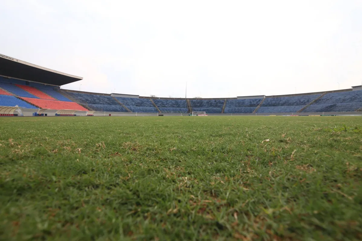 Imagem ilustrativa da imagem Descompactação e chuva deixam o gramado do estádio do Café "no ponto", diz FEL
