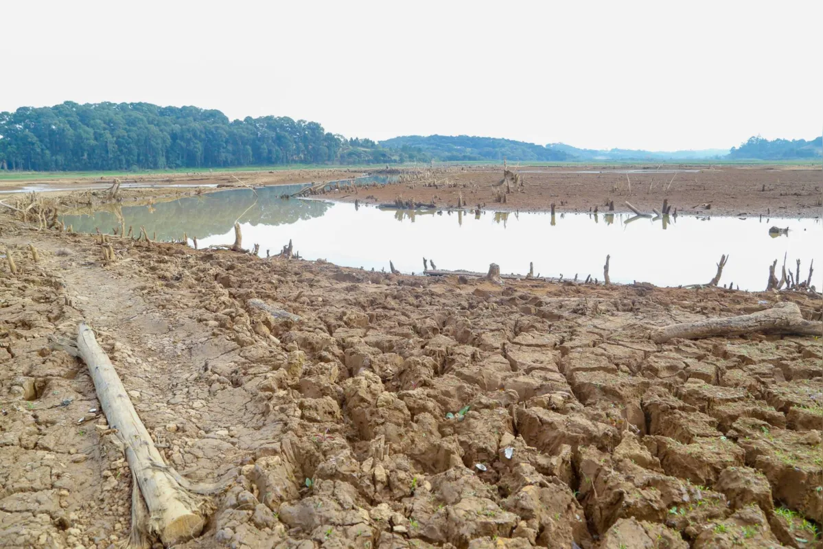 Imagem ilustrativa da imagem EDITORIAL - Crise hídrica, o efeito dominó da seca