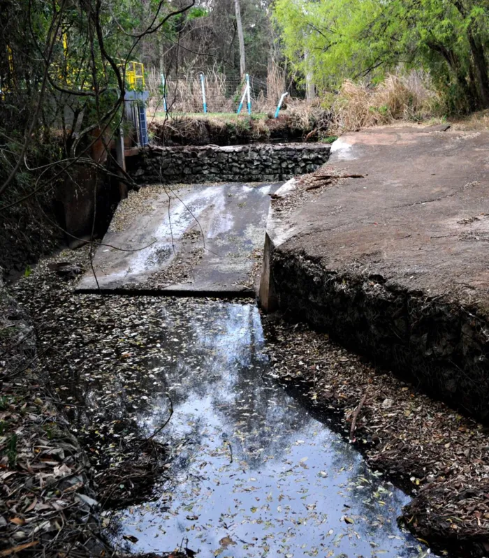 Imagem ilustrativa da imagem Maior crise hídrica da história do Paraná lança desafios em múltiplas frentes
