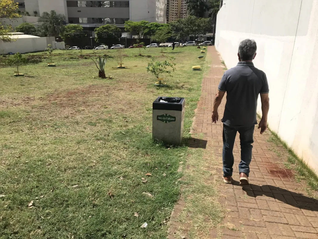 Imagem ilustrativa da imagem Um pomar em crescimento na Gleba Palhano