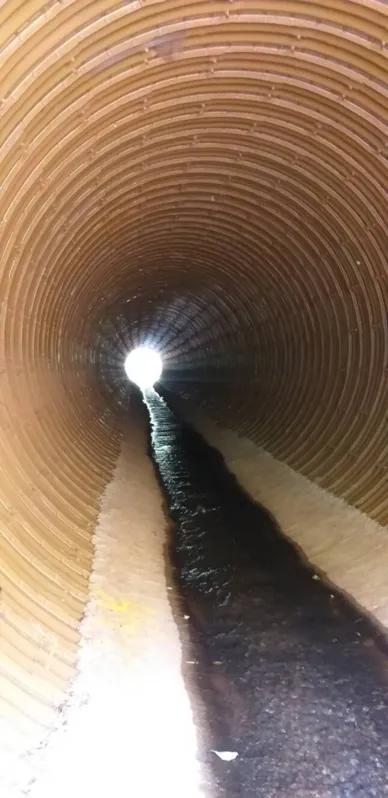 Imagem ilustrativa da imagem CIDADE FALA - Direto do túnel do tempo
