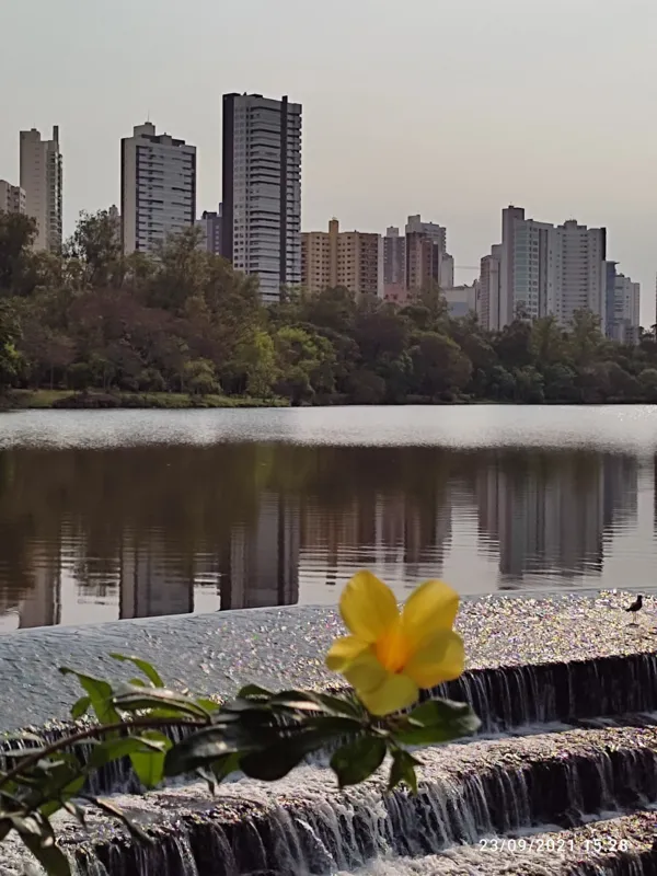 Imagem ilustrativa da imagem CIDADE FALA - Lago Igapó 2