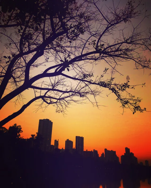 Imagem ilustrativa da imagem CIDADE FALA - O sol sempre presente no dia a dia