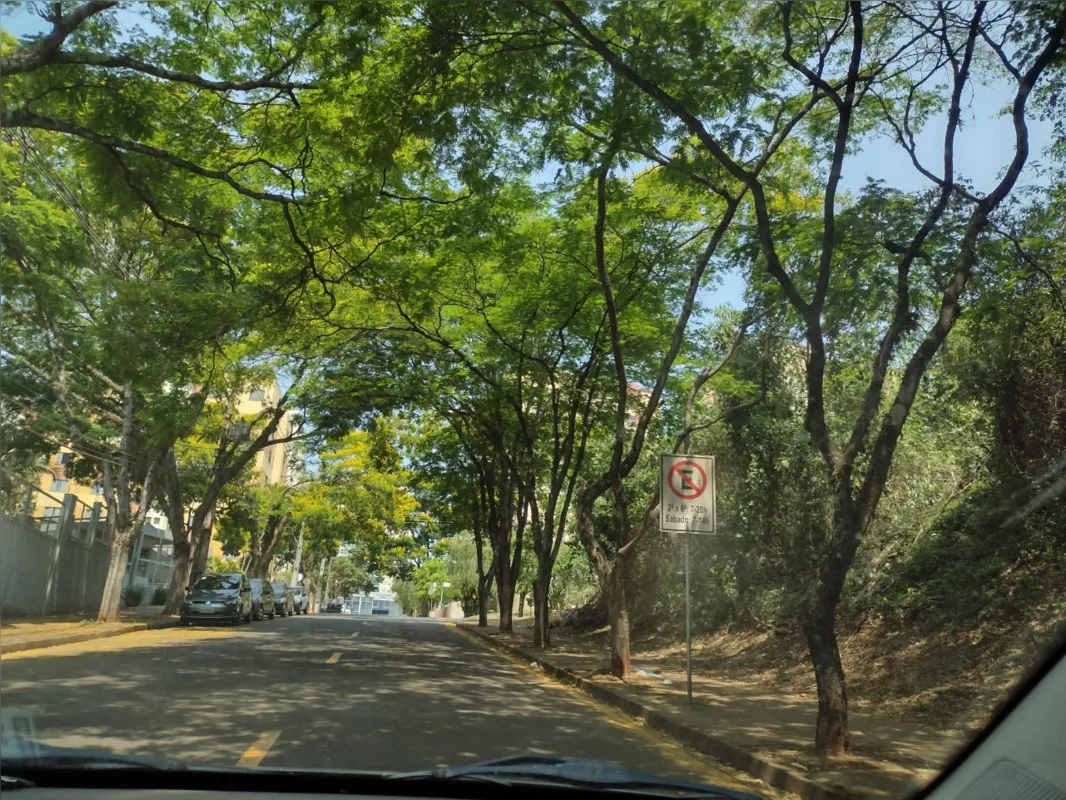 Imagem ilustrativa da imagem CIDADE FALA - Pelos caminhos da bela Londrina
