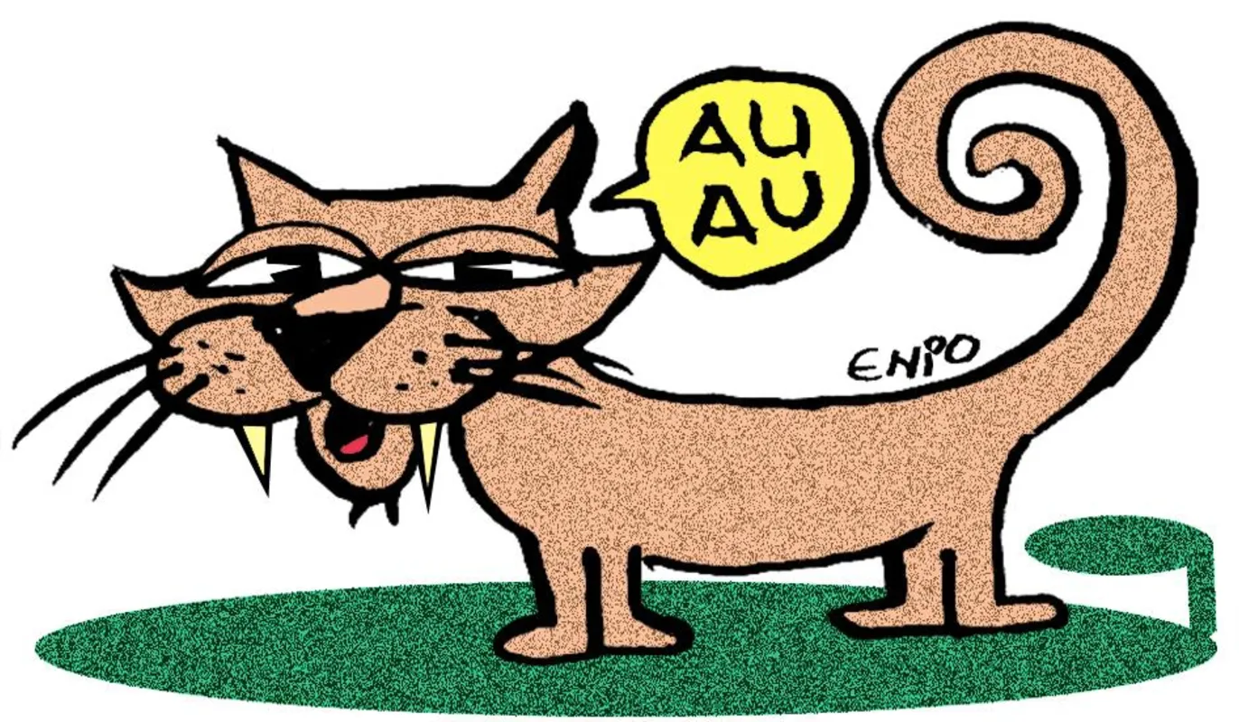 Imagem ilustrativa da imagem Casos e mortes caem a níveis do início de 2020