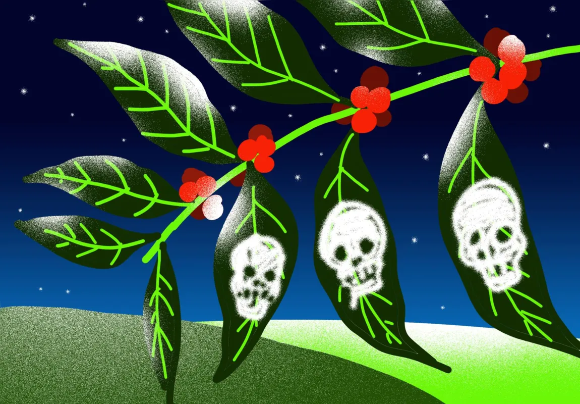 Imagem ilustrativa da imagem DEDO DE PROSA| A geada da minha infância