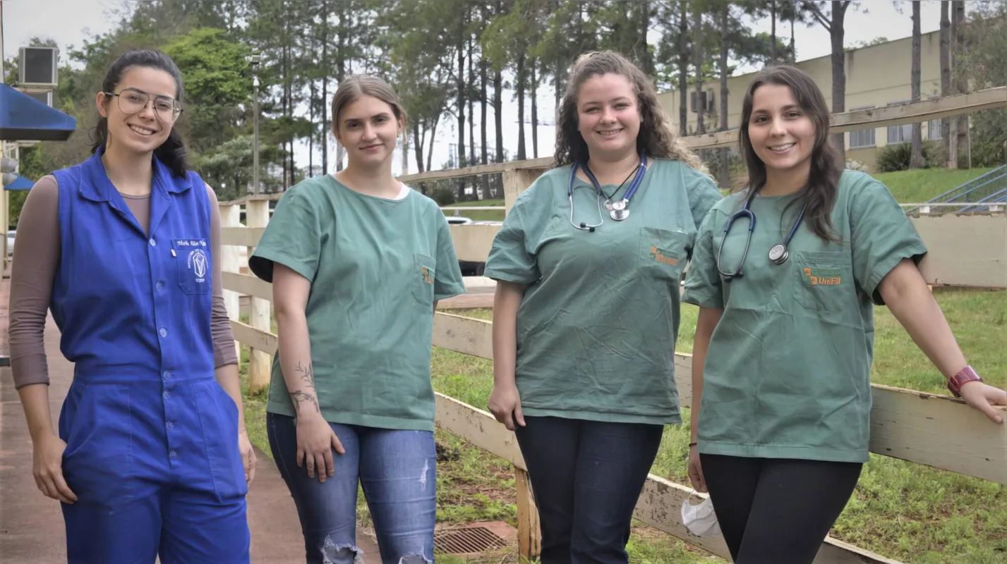 Imagem ilustrativa da imagem Elas presidiram a BPW Londrina