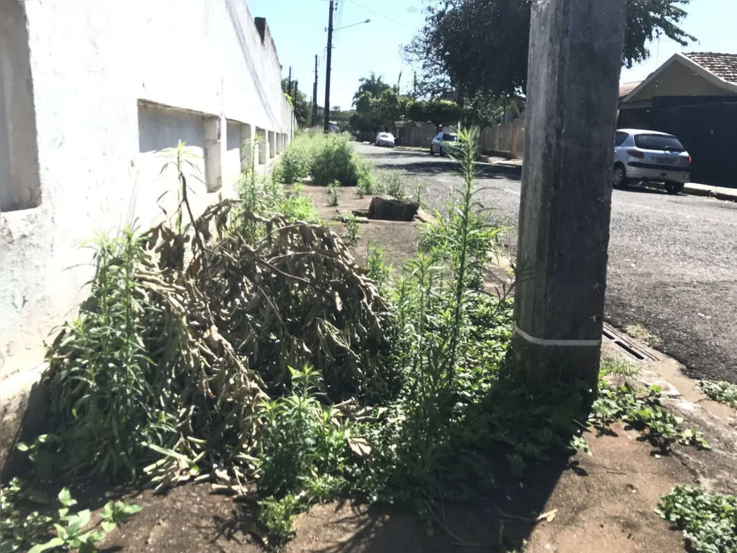 Imagem ilustrativa da imagem Em Londrina, moradores do bairro Aeroporto reclamam de ‘abandono’