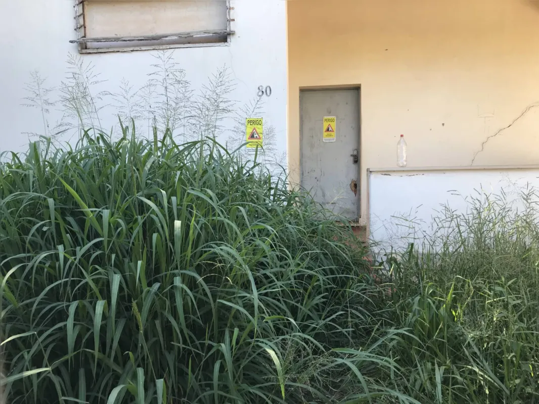 Imagem ilustrativa da imagem Em Londrina, moradores do bairro Aeroporto reclamam de ‘abandono’