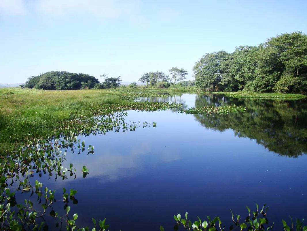 Parque fica entre o Paraná e Mato Grosso do Sul e abriga mais de 300 ilhas e ilhotas