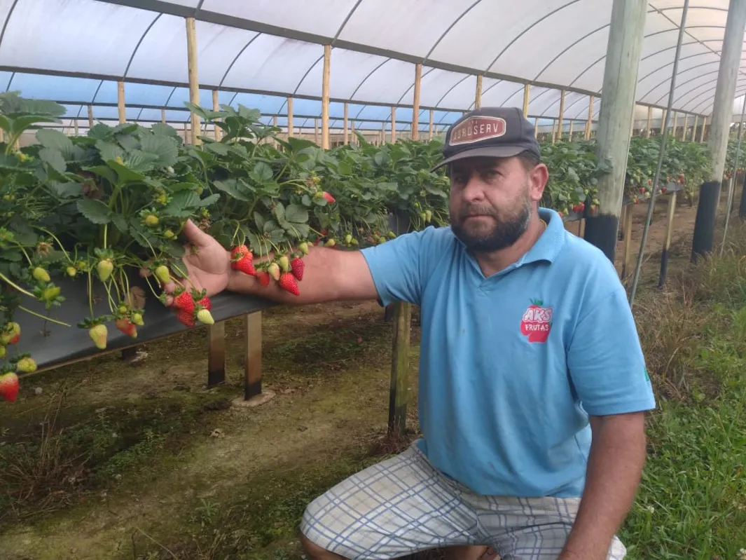 O produtor Rogério Rendaki viu o custo de produção aumentar 120% nos últimos quatro meses