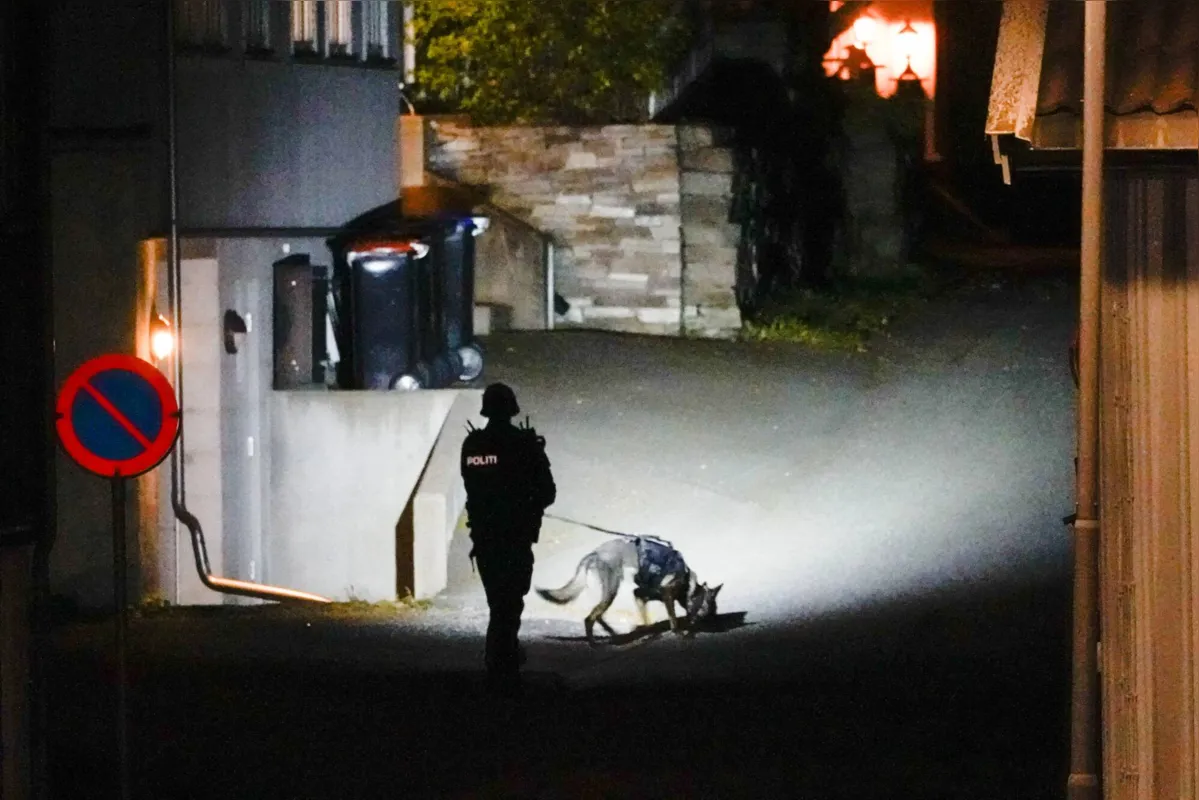 Imagem ilustrativa da imagem Homem com arco e flecha deixa feridos e ao menos 4 mortos na Noruega
