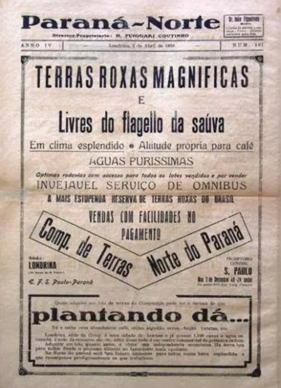 O historiador Edson Holtz Leme ressalta que a CTNP (Companhia de Terras Norte do Paraná) colocava em seus panfletos que os lotes não possuíam saúvas, mas para ele isso não foi um argumento decisivo para atrair compradores. 