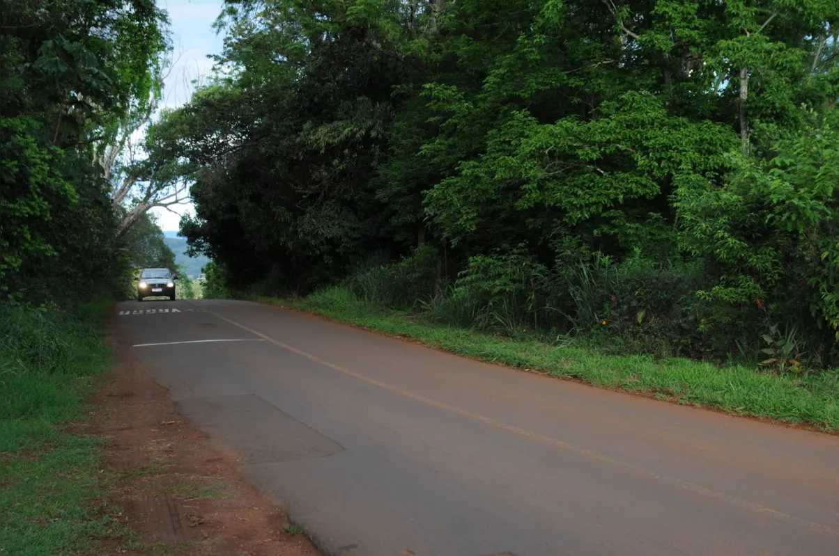 Imagem ilustrativa da imagem Prefeitura cria comissão para discutir melhorias na Estrada do Limoeiro