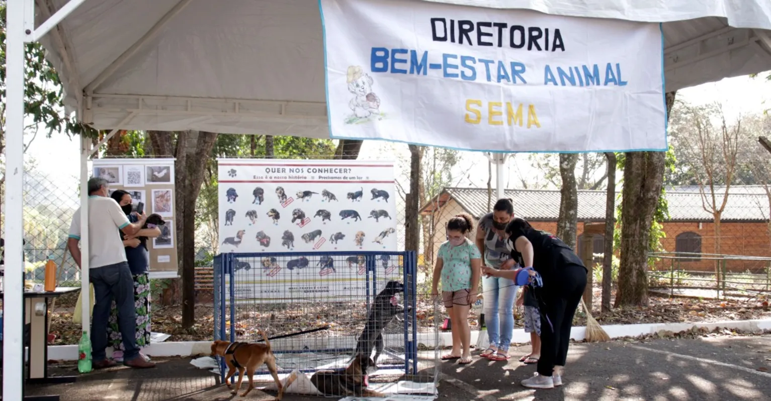 Imagem ilustrativa da imagem Prefeitura de Londrina realizará "Um dia de Cão"