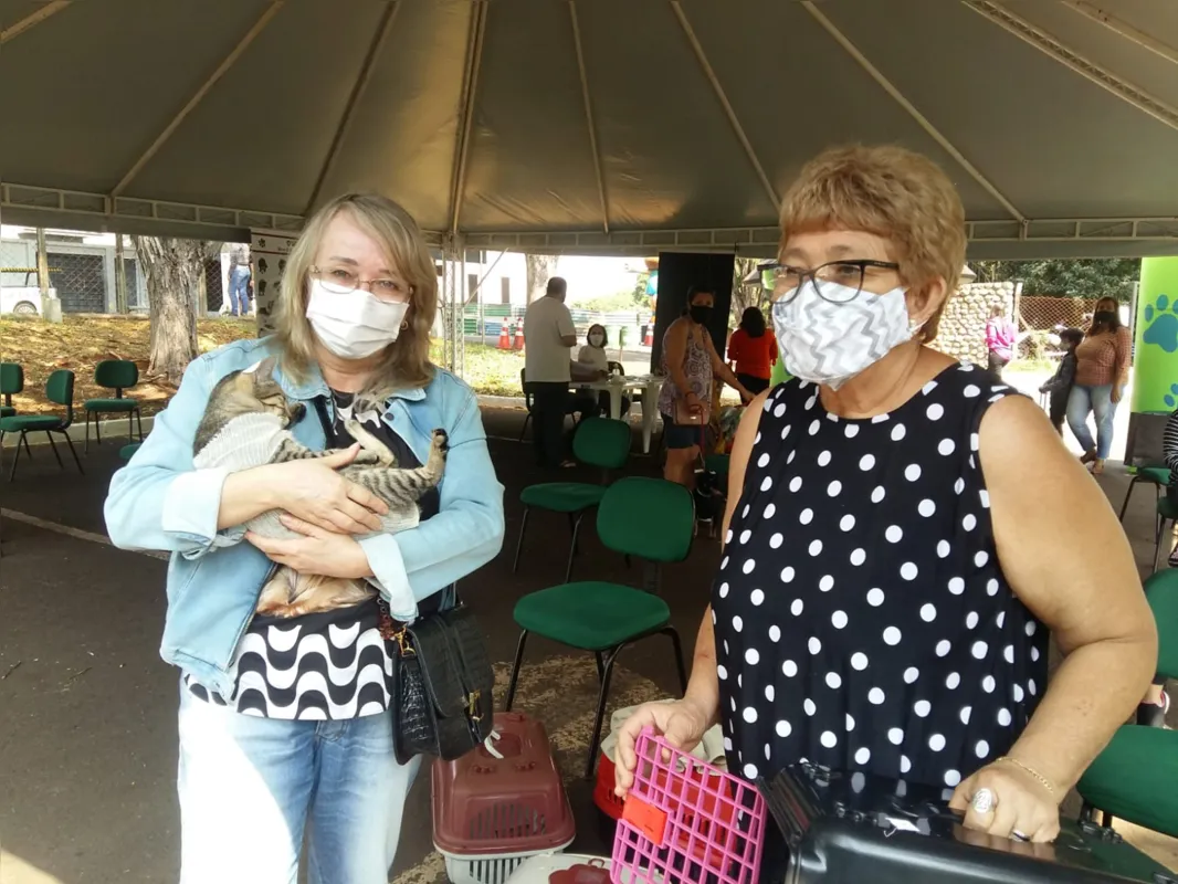 Cícera Carvalho cuida de gatos abandonados