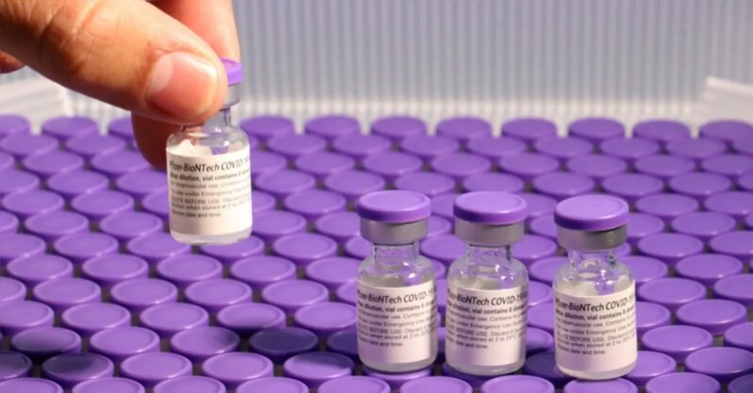 Imagem ilustrativa da imagem Toledo terá estudo da vacina da Pfizer em população acima de 12 anos