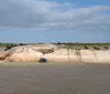 Baleia-fin de quase 20 metros encalha em praia do Paraná