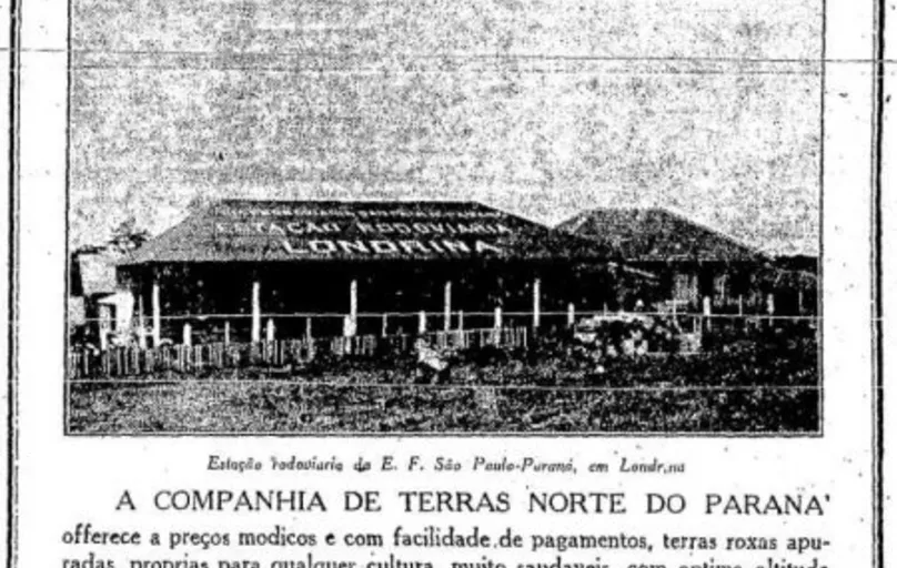 O historiador Edson Holtz Leme ressalta que a CTNP (Companhia de Terras Norte do Paraná) colocava em seus panfletos que os lotes não possuíam saúvas, mas para ele isso não foi um argumento decisivo para atrair compradores. 
