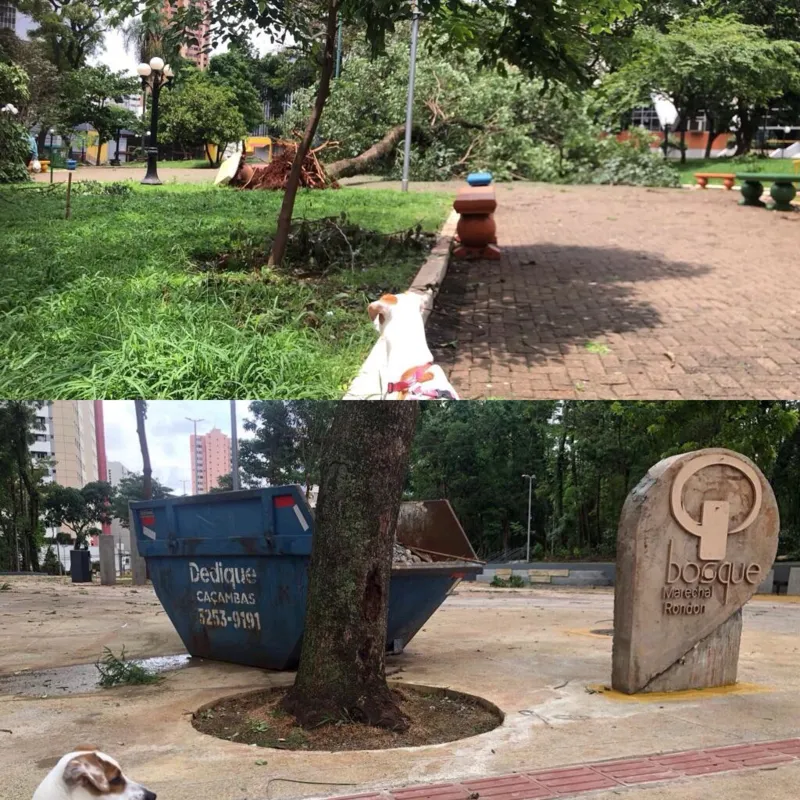 Imagem ilustrativa da imagem CIDADE FALA - Praça e Bosque