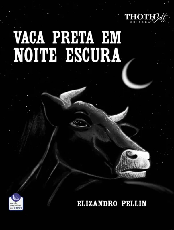 Imagem ilustrativa da imagem Contos com humor e memórias universais