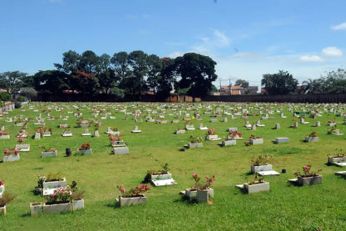 Imagem ilustrativa da imagem Diferenciação entre crematórios e cemitérios para animais é tema de audiência pública