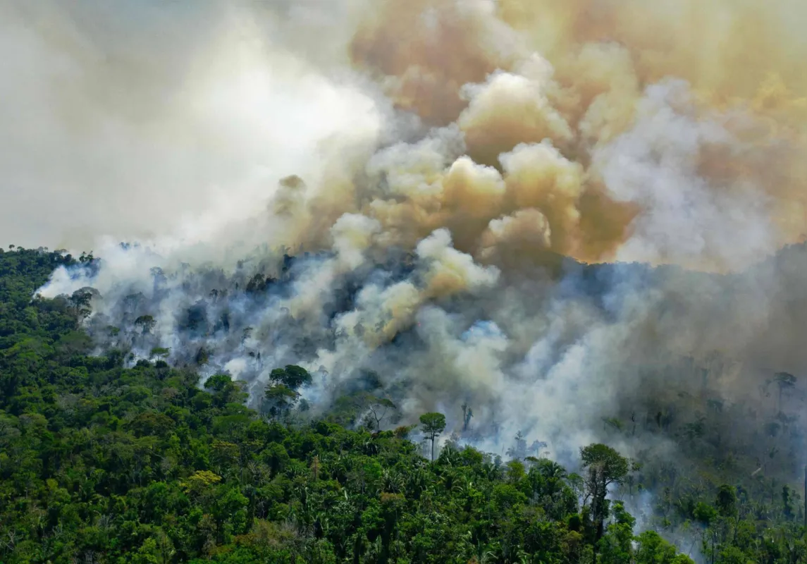 Incêndios provocam emissões de carbono mesmo anos depois que as áreas foram queimadas