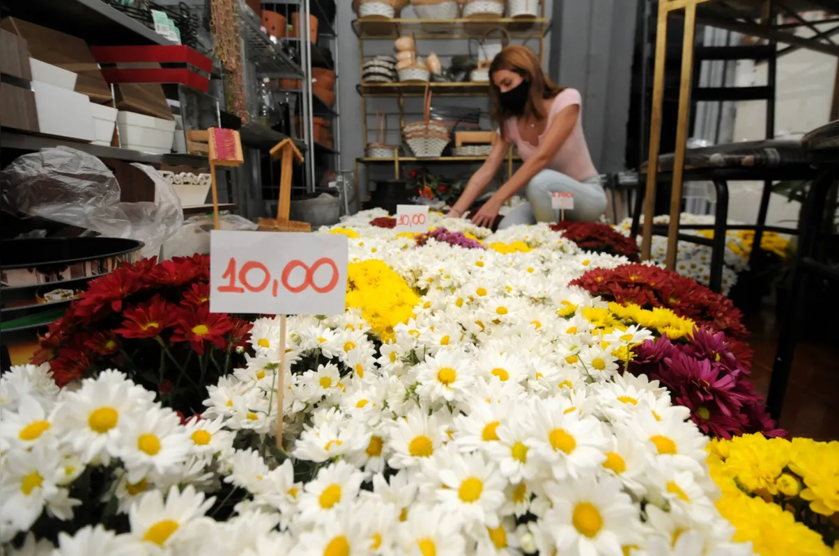 Imagem ilustrativa da imagem Expectativa de venda de flores no Finados é positiva, mas preço preocupa