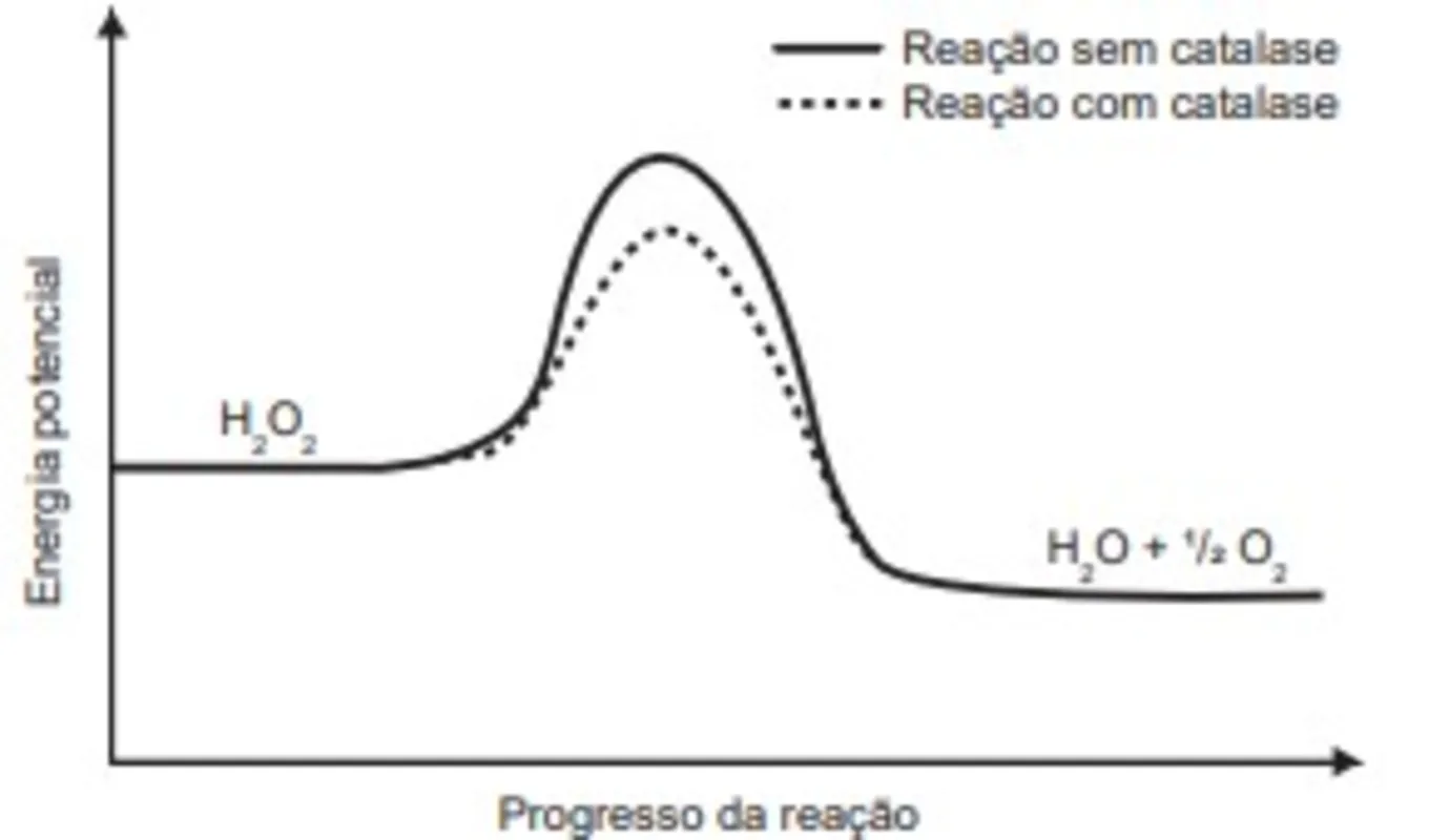 Imagem ilustrativa da imagem FOLHA ENEM /CADERNO 12  /CIÊNCIAS DA NATUREZA
