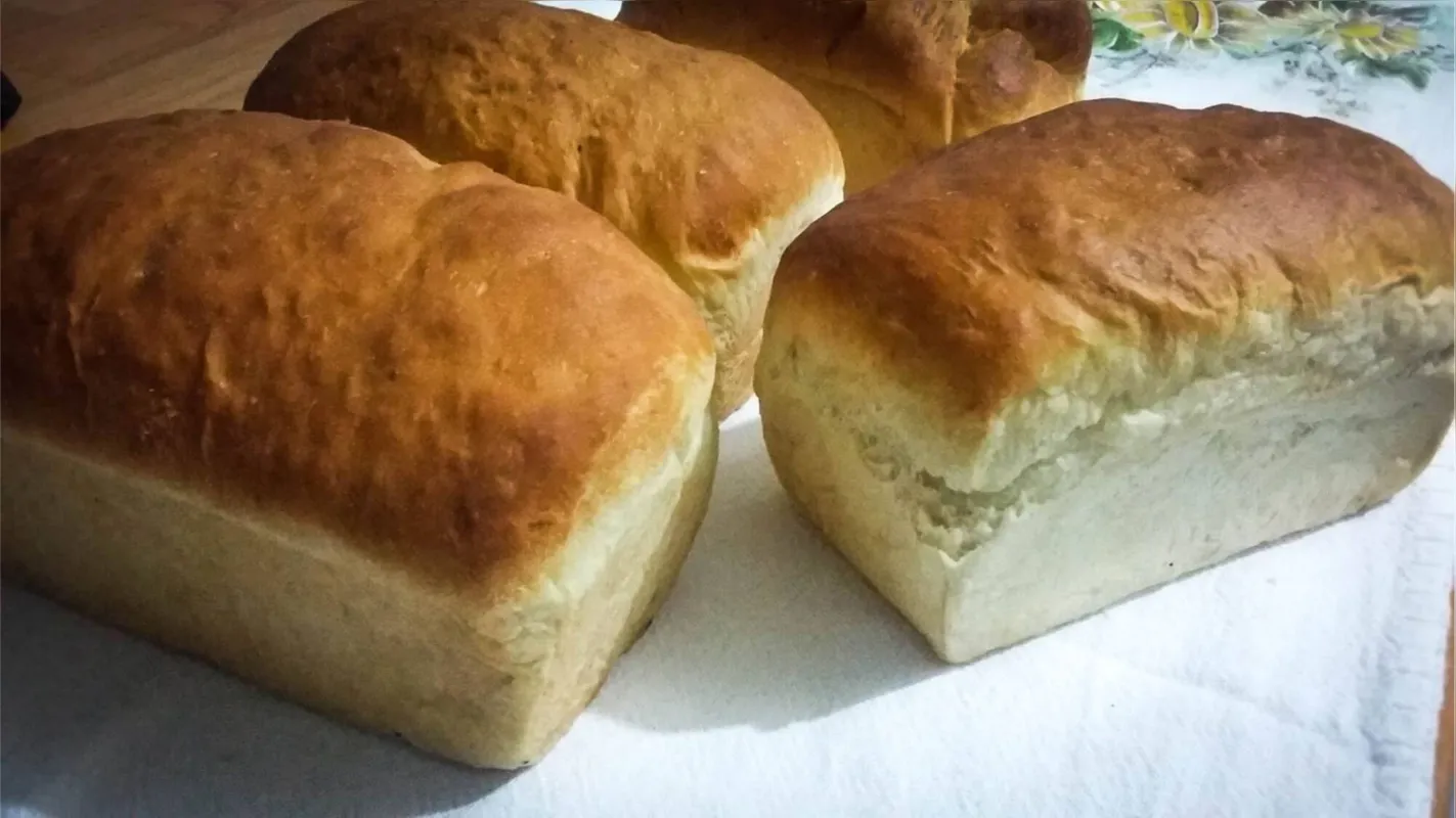 Pão com um cafezinho deixa melhor o dia de qualquer pessoa