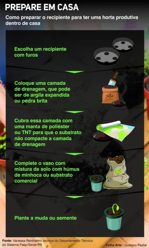 Imagem ilustrativa da imagem Pretende fazer uma horta em casa? Siga  as dicas de especialistas e desfrute!