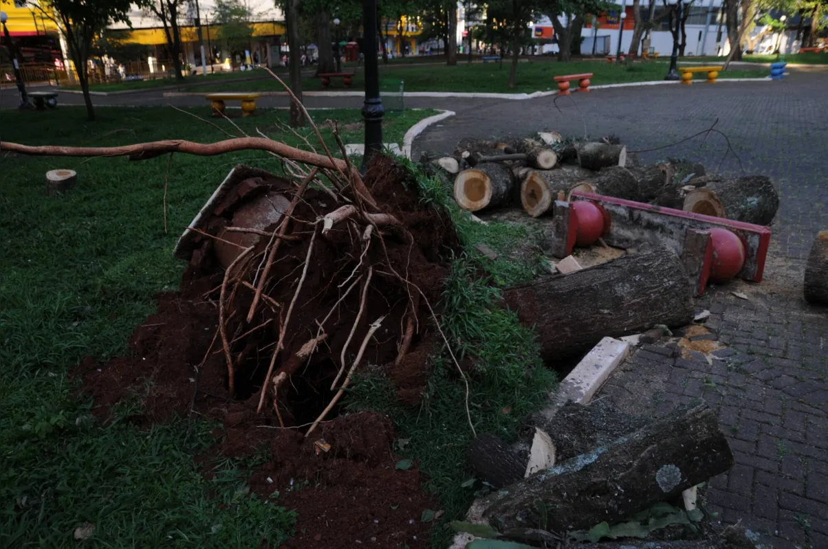 Nas áreas públicas, os estragos não se limitaram à queda de árvores; a iluminação também foi danificada