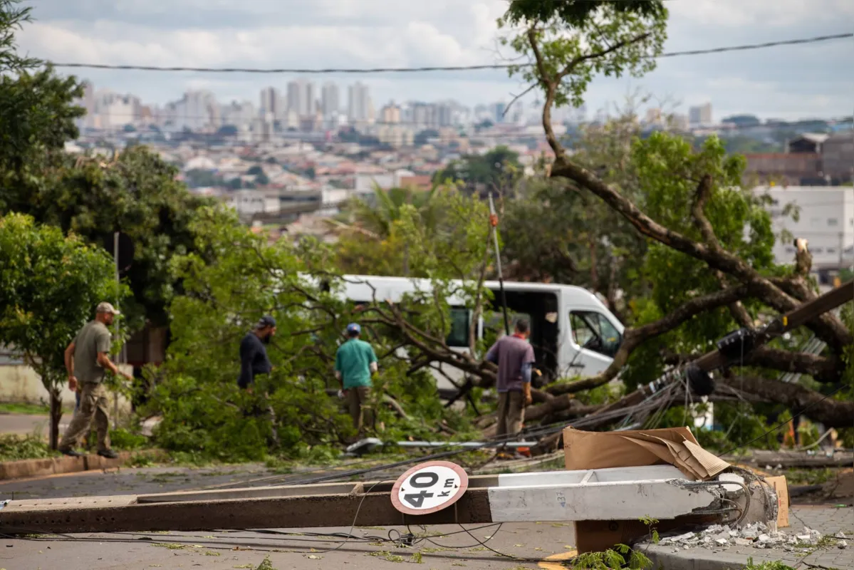 Imagem ilustrativa da imagem Temporal causa estragos em 41 escolas municipais de Londrina