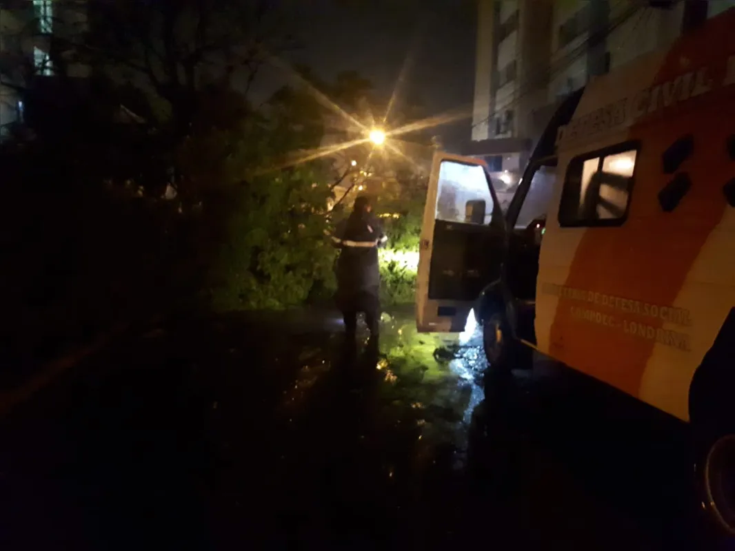 Imagem ilustrativa da imagem Temporal destelhou 27 casas e derrubou 42 árvores em Londrina