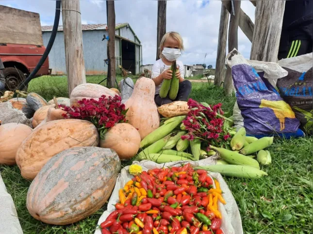 Imagem ilustrativa da imagem Agrovila da reforma agrária recebe certificação de produção 100% agroecológica em Castro