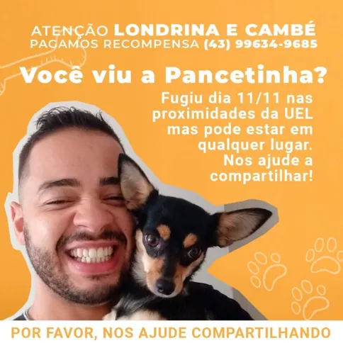O tutor da Pancetinha, José Luiz da Silva, compartilhou cartaz nas redes sociais