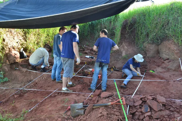 A equipe tirou a sorte grande ao achar um esqueleto tão completo, já que a maioria das espécies brasileiras de terópodes é conhecida apenas por meio de ossos esparsos