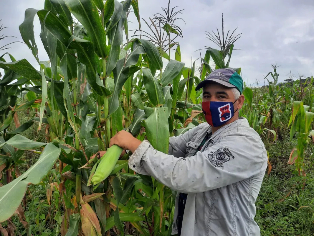 Imagem ilustrativa da imagem Agrovila da reforma agrária recebe certificação de produção 100% agroecológica em Castro